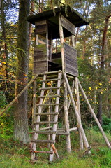 Hochsitz mit Leiter im Taunus