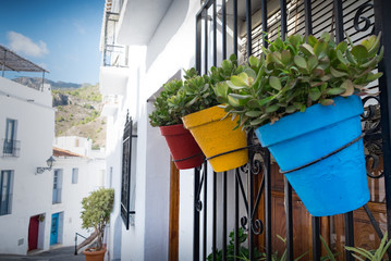 Colorful plant pots in Frigiliana, Spain