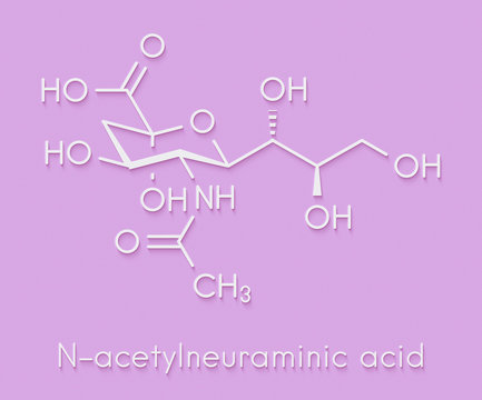 Sialic acid (N-acetylneuraminic acid, Neu5Ac, NANA) molecule. Skeletal formula.