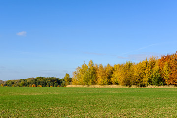 Field near Prague