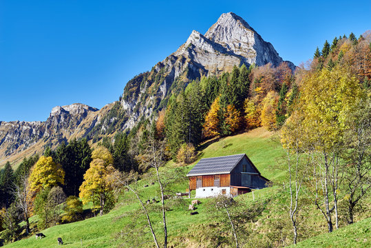 Fototapeta Brünnelistock am Obersee