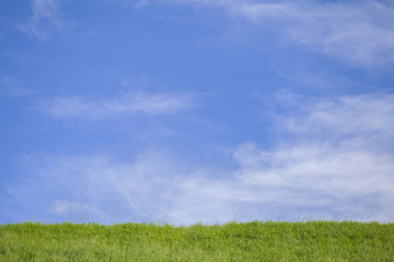 Fototapeta na wymiar Sky view with grass
