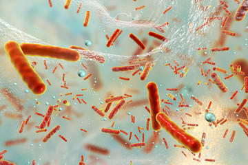 Antibiotic resistant bacteria inside a biofilm, 3D illustration. Biofilm is a community of bacteria where they aquire antibiotic resistance and communicate with each other by quorum sensing molecules - obrazy, fototapety, plakaty
