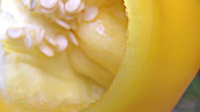Yellow Paprika – Close Up, Detail, Macro