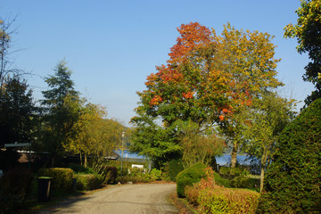 Naklejka premium Herbstfarben