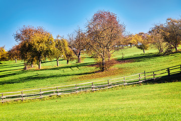 Autumn landscape, countryside hippodrome