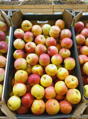 Apples in container at store