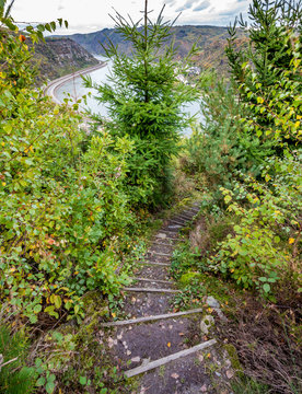 Rhine hiking trali Traumschleife Rheingold pathway Landscape