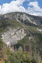 Obraz premium mountain forest