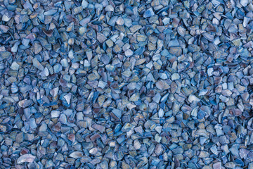 background of broken sea shell pieces