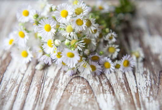Daisies bouquet  on  rustic wooden  Background with copy space