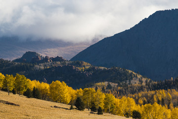 Obraz premium Victor Colorado Autumn