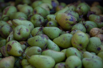 pears for juice