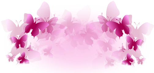 Fototapeta na wymiar Butterflies decorated web banner