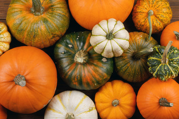 Many Pumpkins background