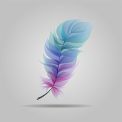 Fototapeta na wymiar color feather