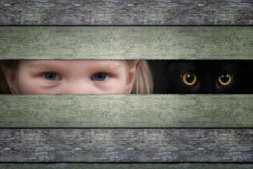 The eyes of a child and cat watching through the crack in the wooden fence
