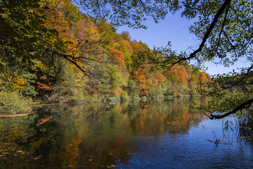 Fototapeta na wymiar Autumn in Plitvice lakes national park in Croatia