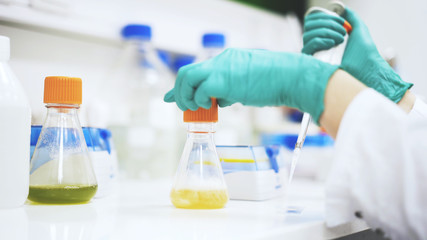 Close up of woman scientist s hands taking some yellow liquid to examine. University assessment.