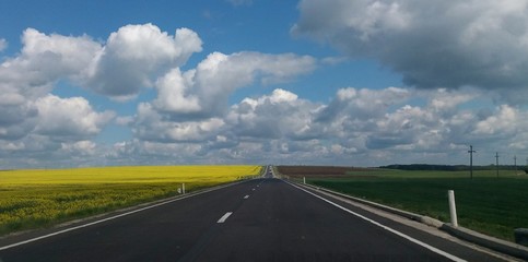 Fototapeta premium Driving with a view