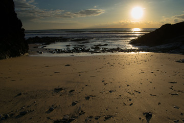 Beach Sunset