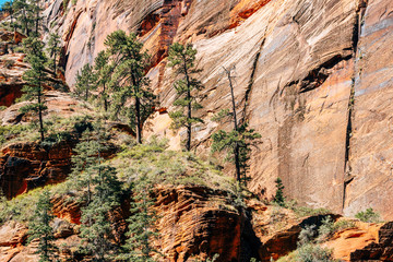 amazing view of angels landing hike in zion national park, utah