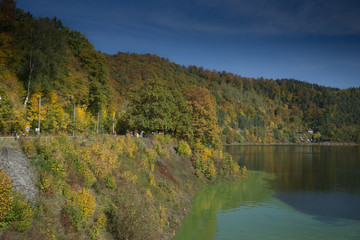 autumn landcape with colorful trees and water