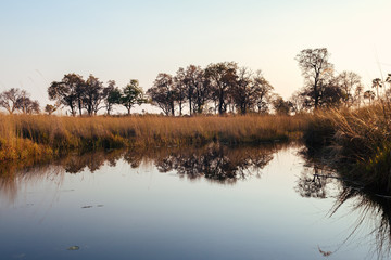 Okavango river