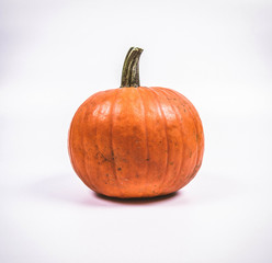 Pumpkin on a white background