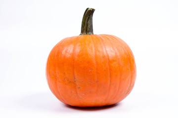 Pumpkin on a white background