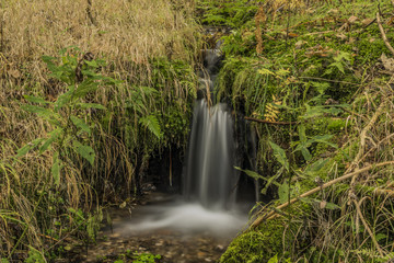 Small forest creek near Roprachtice village