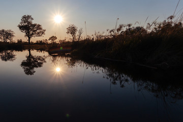 Okavango river, Okanvango delta,  Botswana