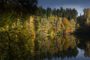 autumn landcape with colorful trees and water