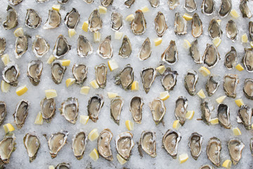 open oysters with lemon and ice for background - Powered by Adobe