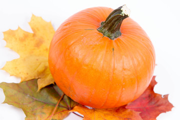 Pumpkin and autumn maple leaves on a white background