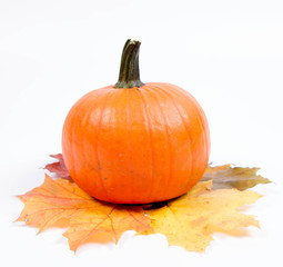 Pumpkin and autumn maple leaves on a white background
