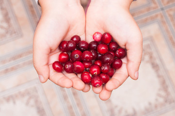 Cranberry mors © vikitora_sap