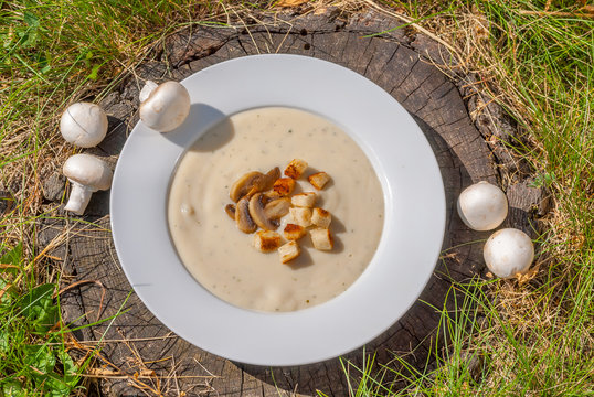 「Champignon-Creme-Suppe」の写真素材 | 194件の無料イラスト画像 | Adobe Stock
