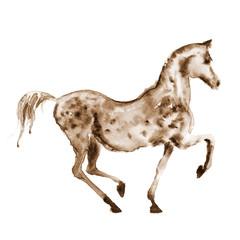 Sepia watercolor hand drawing arabian dapple grey horse in motion on white. Hand panting horse silhouette.