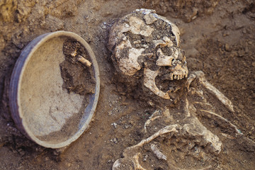 Archaeological excavations. research on human burial, skeleton, skull, inventory