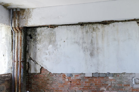 Unhealthy mold damaged walls, ceilings and Floors