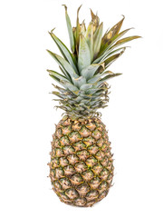 Pineapple isolated at white background