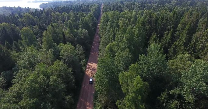 Aerial view at the suv car driving in the green forest on dirt country road, summer season