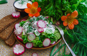 Fototapeta na wymiar fresh sliced cucumber salad and radishes with sour cream and herbs.