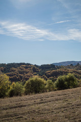 Naklejka premium Blue sky, Autumn colors, Bulgaria 2017