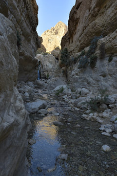Gorge in Judea desert oasis.