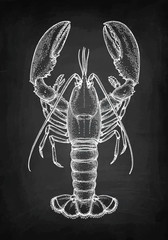 Chalk sketch of lobster