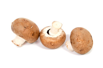 Set Champignon mushroom isolated on white background.
