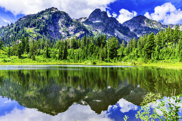 Naklejka na ściany i meble Picture Lake Evergreens Washington USA