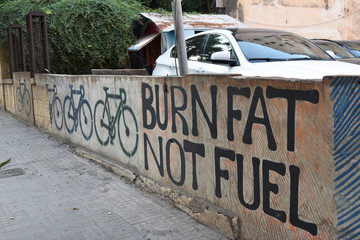 Beyrouth, graffiti Burn fat not fuel